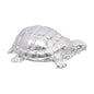 Turtle Small